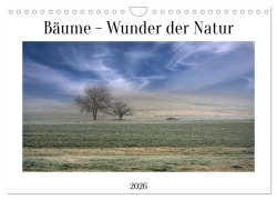 Cover-Bild zum Titel 'Bäume - Wunder der Natur (Wandkalender 2026 DIN A4 quer), CALVENDO Monatskalender' von 'Dieter W. Hack'