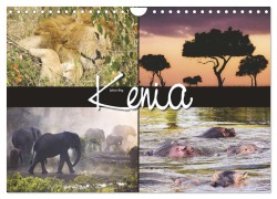 Cover-Bild zum Titel 'Kenia (Wandkalender 2026 DIN A4 quer), CALVENDO Monatskalender' von ''