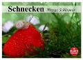 Schnecken. Witzige Schleimer (Wandkalender 2024 DIN A2 quer), CALVENDO Monatskalender - Elisabeth Stanzer