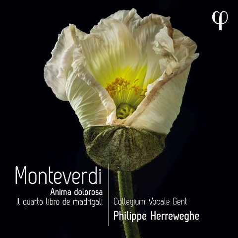 Il Quarto Libro de Madrigali - Philippe/Collegium Vocale Gent Herreweghe