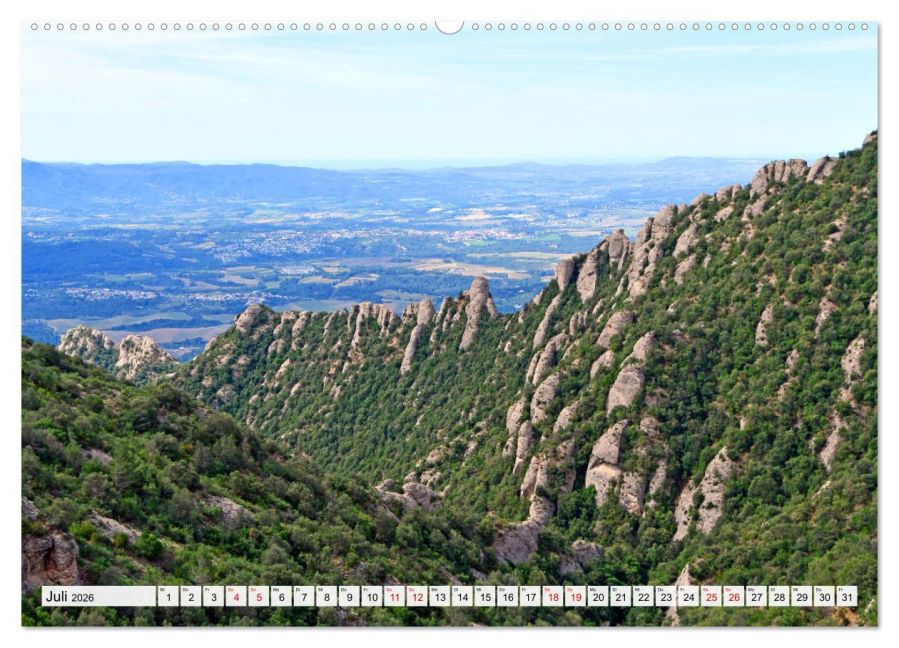 InsideView 12