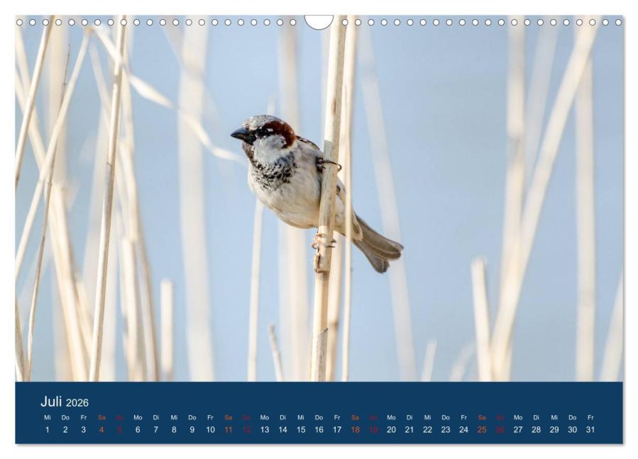 InsideView 12