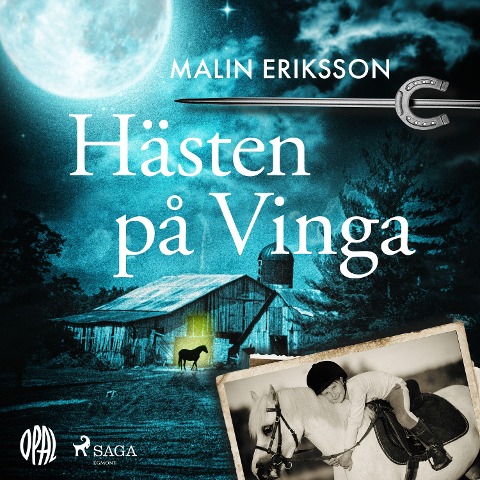 Hästen på Vinga - Malin Eriksson