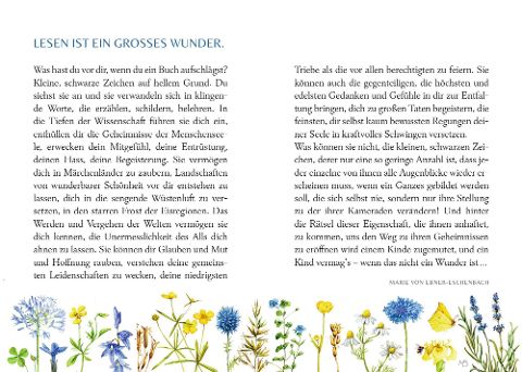 InsideView 5