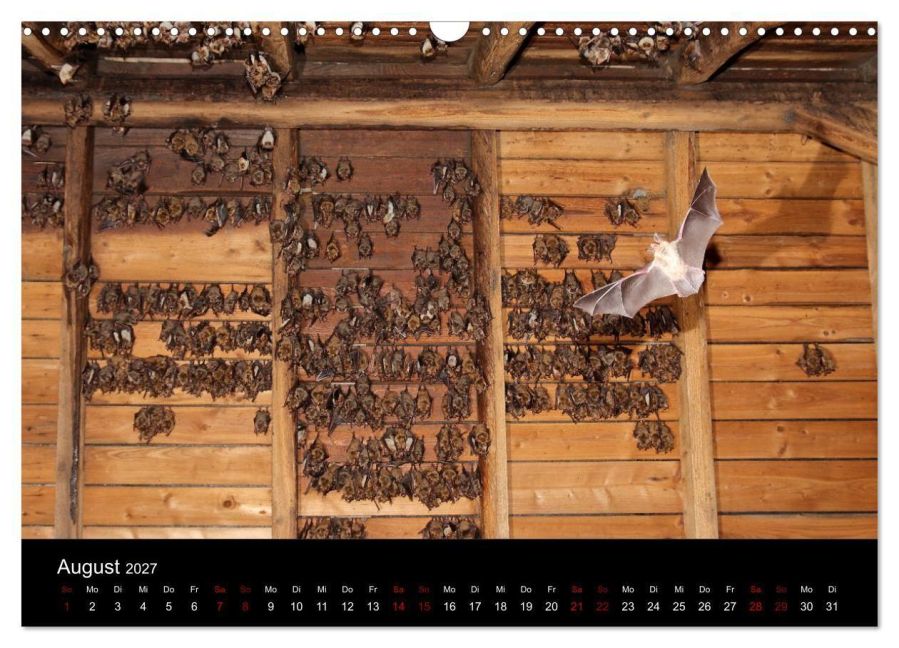 InsideView 13