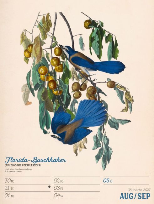 InsideView 39