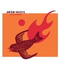 Passarinho - Joao Selva
