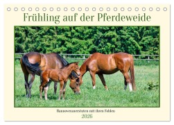 Cover-Bild zum Titel 'Frühling auf der Pferdeweide (Tischkalender 2026 DIN A5 quer), CALVENDO Monatskalender' von 'Claudia Kleemann'