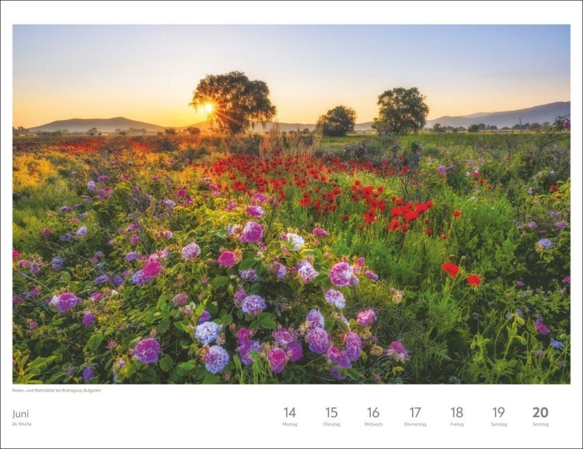 InsideView 7