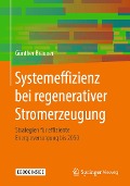 Cover-Bild zum Titel 'Systemeffizienz bei regenerativer Stromerzeugung' von 'Günther Brauner'