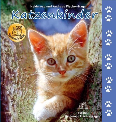 Katzenkinder - Heiderose Fischer-Nagel, Andreas Fischer-Nagel
