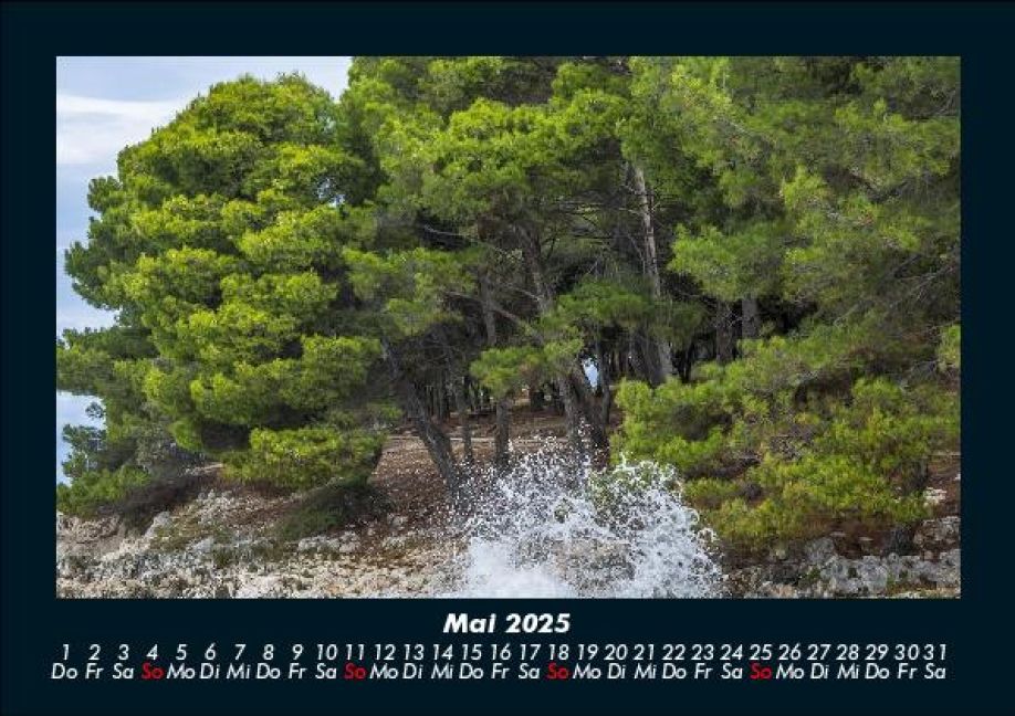 InsideView 9