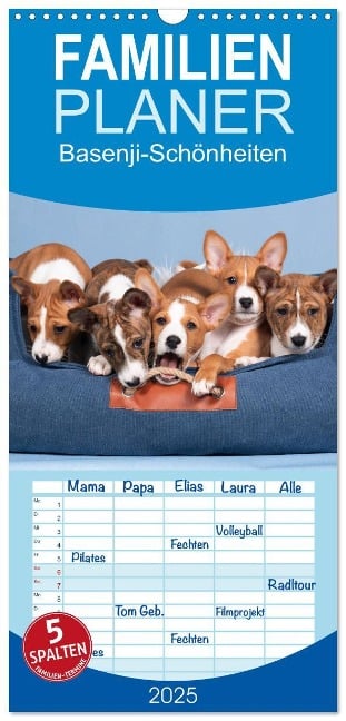 Familienplaner 2025 - Basenji-Schönheiten mit 5 Spalten (Wandkalender, 21 x 45 cm) CALVENDO - Angelika Joswig