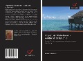 Cover-Bild zum Titel 'Przysz¿o¿¿ Malediwów - Globalne ocieplenie' von 'Kemal Yildirim'