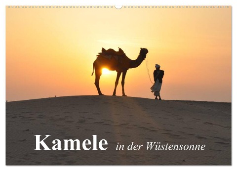 Kamele in der Wüstensonne (Wandkalender 2024 DIN A2 quer), CALVENDO Monatskalender - Elisabeth Stanzer
