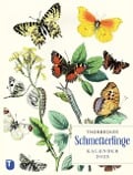 Thorbeckes Schmetterlinge-Kalender 2025 - 