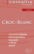 Cover-Bild zum Titel 'Fiche de lecture Croc-Blanc de Jack London (analyse littéraire de référence et résumé complet)' von 'Jack London'