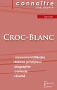 Cover-Bild zum Titel 'Fiche de lecture Croc-Blanc de Jack London (analyse littéraire de référence et résumé complet)' von 'Jack London'