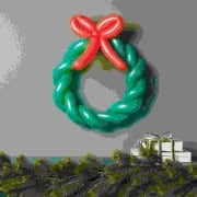 Cover-Bild zum Titel 'Ballonfigur Kranz, Grün' von ''