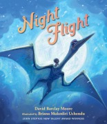 Cover-Bild zum Titel 'Night Flight' von 'David Barclay Moore'