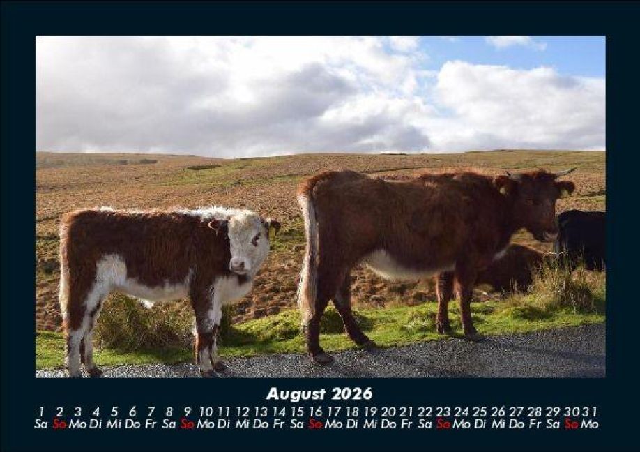 InsideView 12