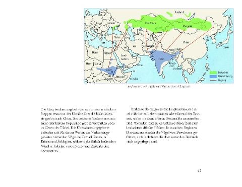 InsideView 5