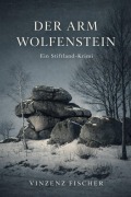 Cover-Bild zum Titel 'Der Arm Wolfenstein' von 'Vinzenz Fischer'