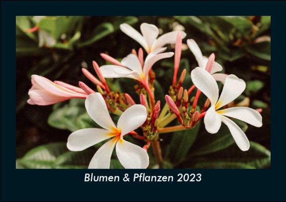 Blumen & Pflanzen 2023 Fotokalender DIN A5 - Tobias Becker