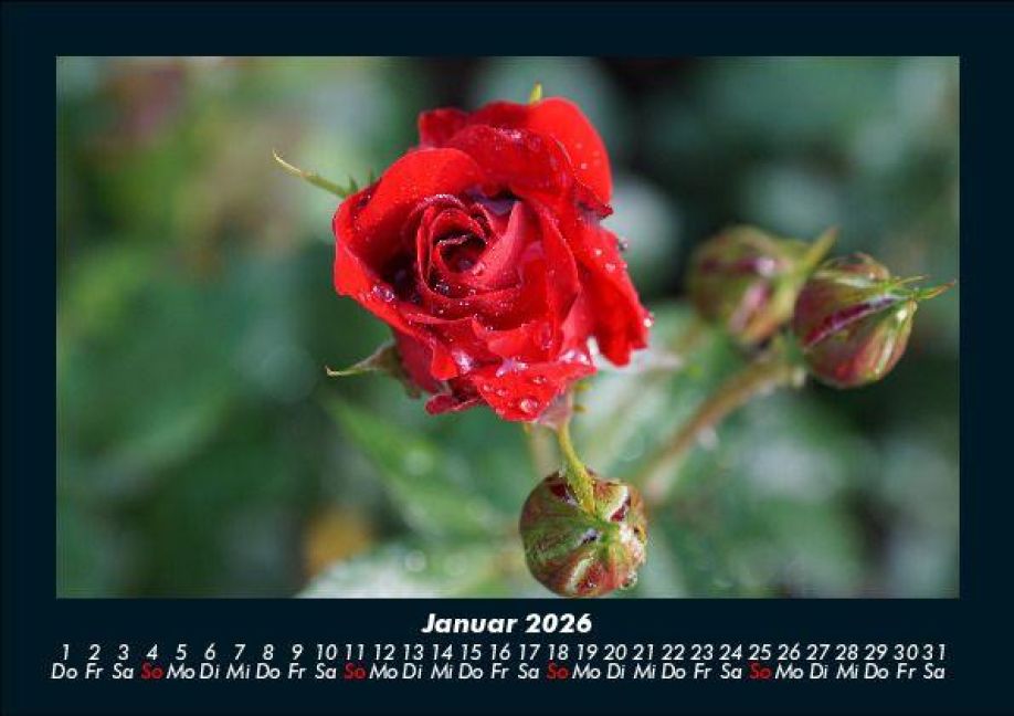 InsideView 5