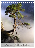 Bäume - Stilles Leben (Tischkalender 2025 DIN A5 hoch), CALVENDO Monatskalender - Jana Behr