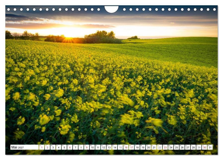 InsideView 10