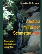 Cover-Bild zum Titel 'Absturz im Tal der Schmetterlinge' von 'Martin Schrank'
