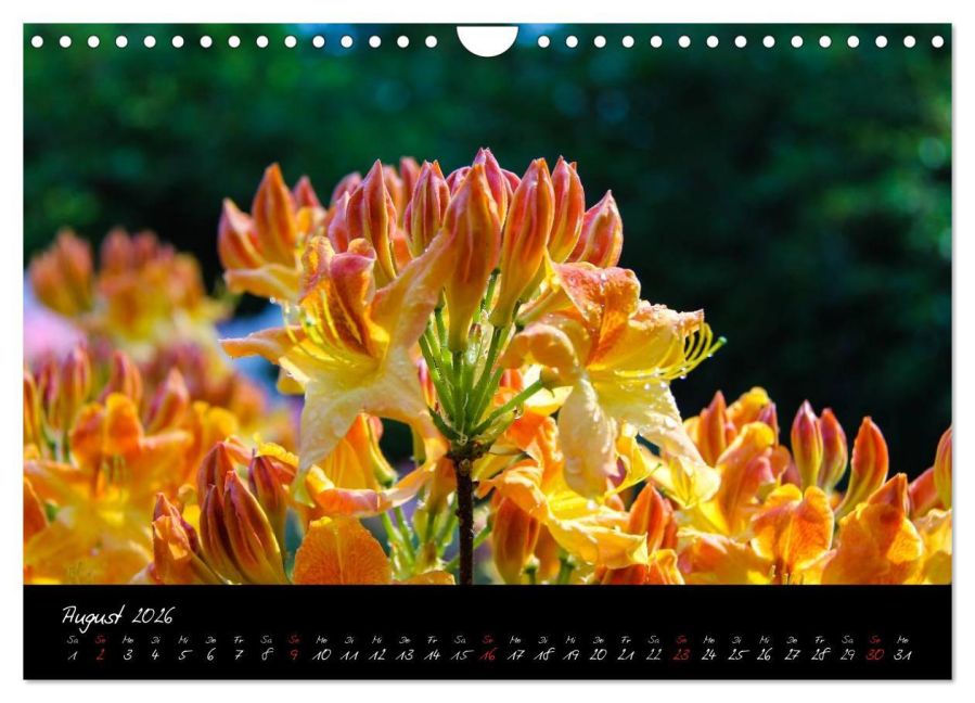 InsideView 13
