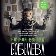 Cover-Bild zum Titel 'Nochnoy vzglyad' von 'Darya Bobyleva'