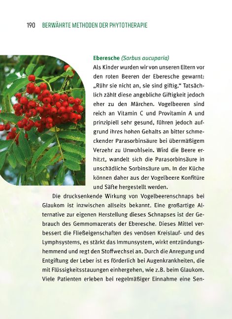 InsideView 13