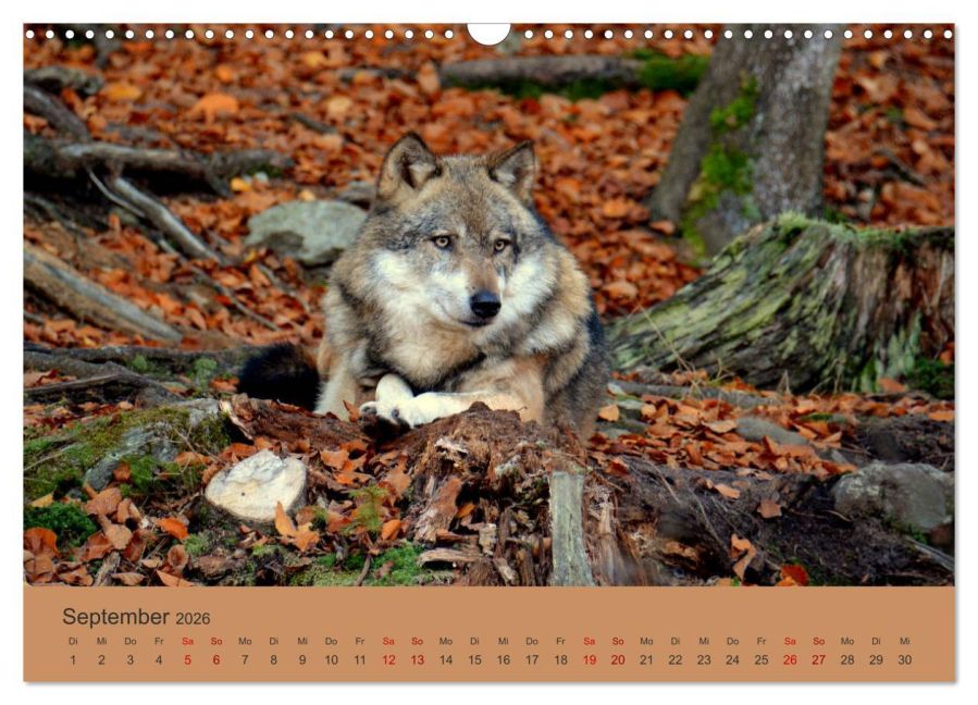 InsideView 14