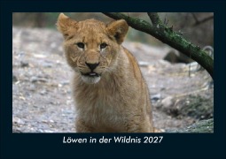 Cover-Bild zum Titel 'Löwen in der Wildnis 2027 Fotokalender DIN A5' von 'Tobias Schmitt, Kevin Heber'