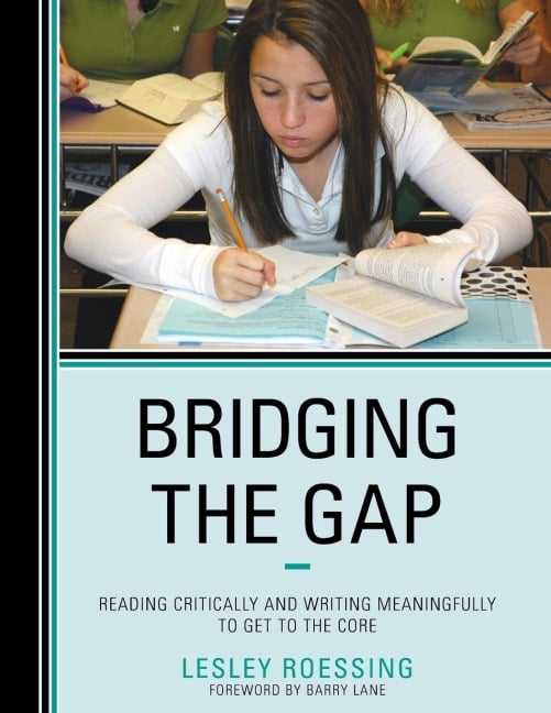 Bridging the Gap - Lesley Roessing