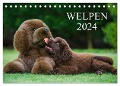 Welpen 2024 (Tischkalender 2024 DIN A5 quer), CALVENDO Monatskalender - Sigrid Starick