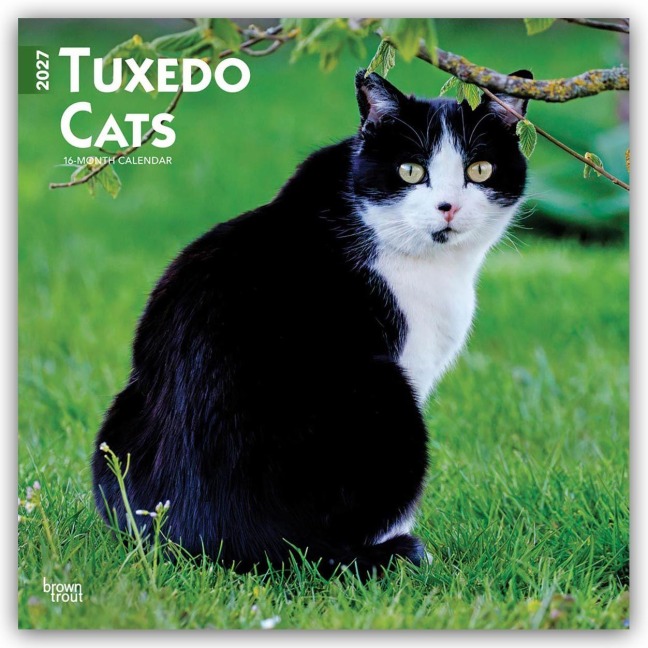 Tuxedo Cats - Tuxedo Katzen 2027 - 16-Monatskalender - Browntrout Publishers