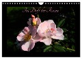 Im Duft der Rosen (Wandkalender 2025 DIN A4 quer), CALVENDO Monatskalender - Heribert Saal