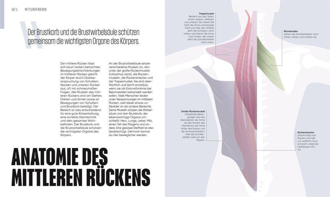 InsideView 5