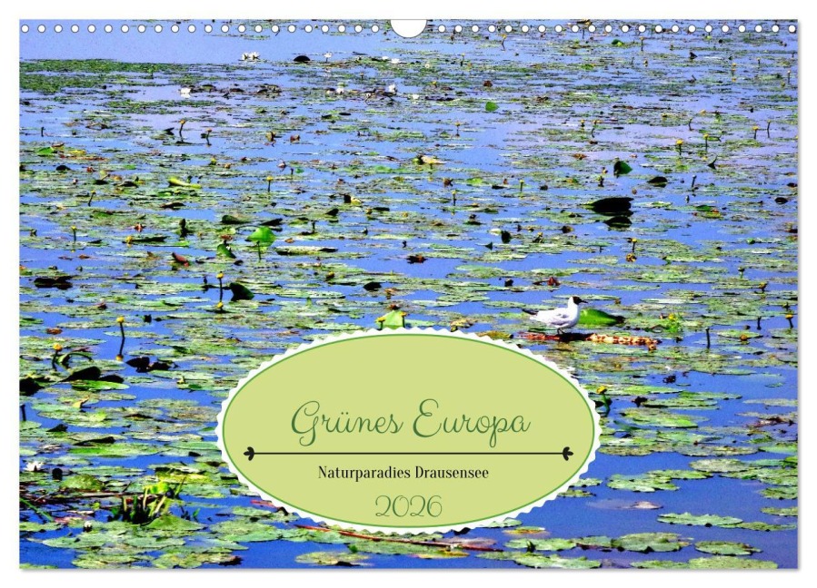 Grünes Europa - Naturparadies Drausensee (Wandkalender 2026 DIN A3 quer), CALVENDO Monatskalender - Henning von Löwis of Menar