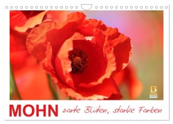 Mohn, zarte Blüten, starke Farben (Wandkalender 2026 DIN A4 quer), CALVENDO Monatskalender - Sabine Löwer