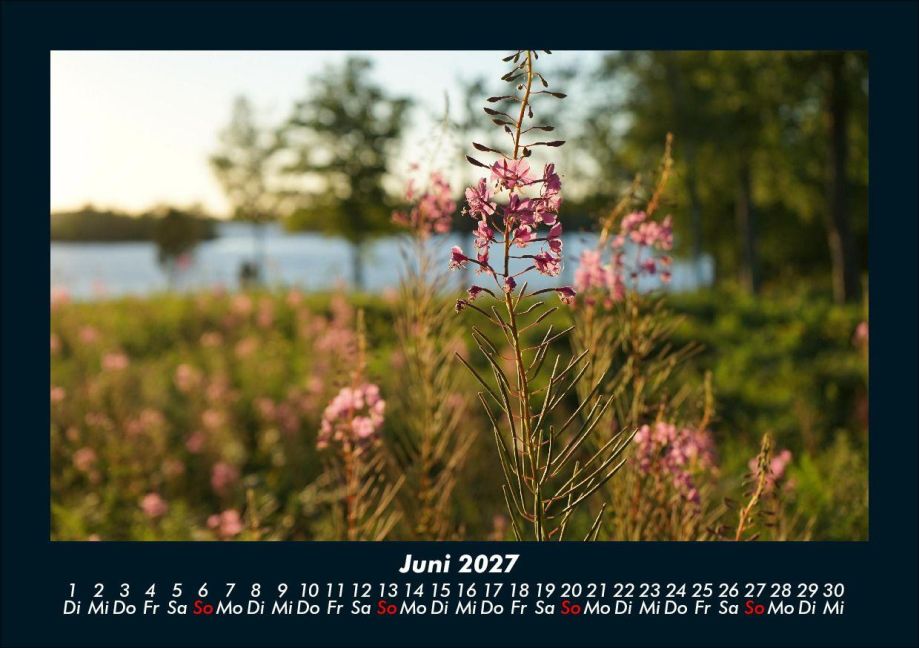 InsideView 10