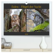 Cover-Bild zum Titel 'Eulen - Flügel der Nacht (hochwertiger Premium Wandkalender 2026 DIN A2 quer), Kunstdruck in Hochglanz' von 'Teresa Bauer'