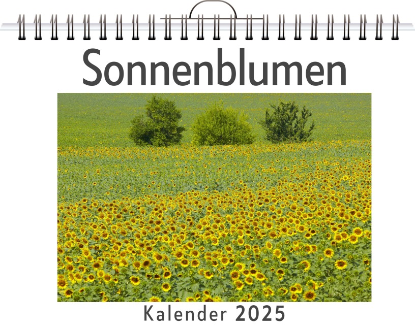 Sonnenblumen - Sophia König