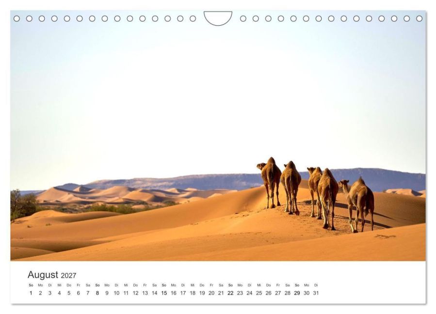 InsideView 13