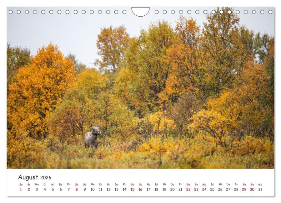 InsideView 13