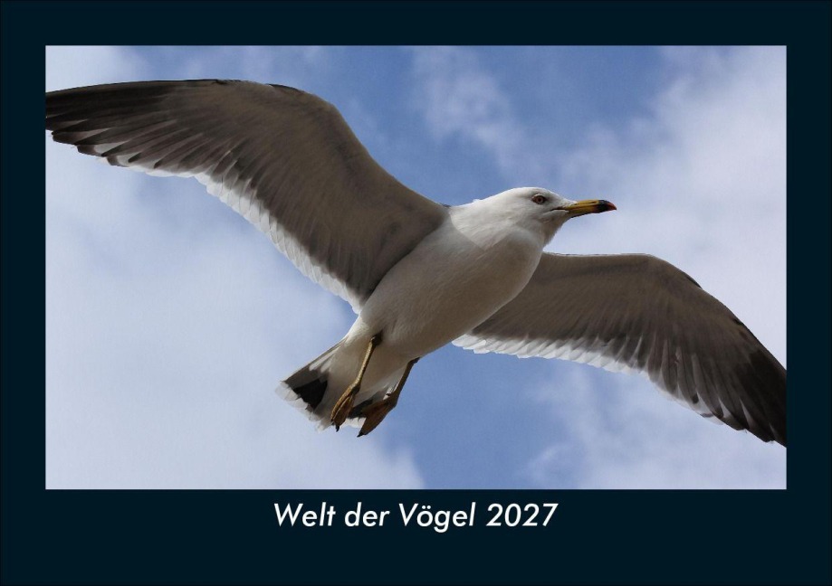 Welt der Vögel 2027 Fotokalender DIN A5 - Tobias Schmitt, Kevin Heber